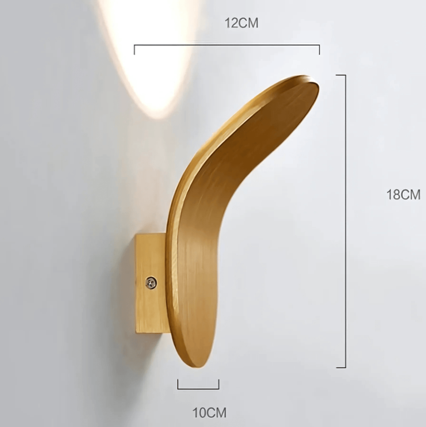 Curved Metal LED Wall Light