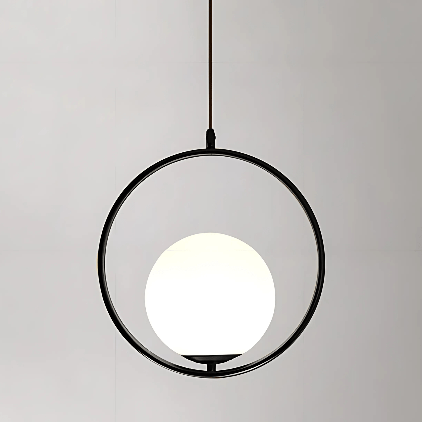 Frosted Globe Frame Pendant Light