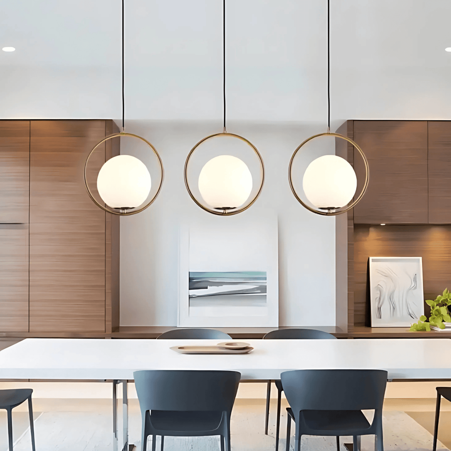 Frosted Globe Frame Pendant Light