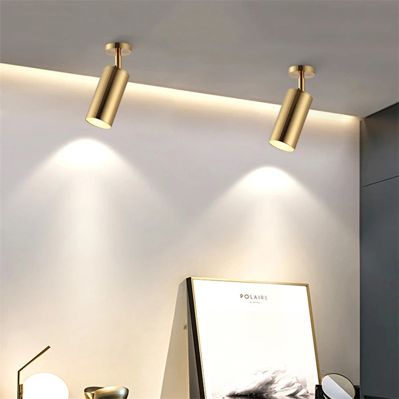 Gold LED Ceiling Spot Light