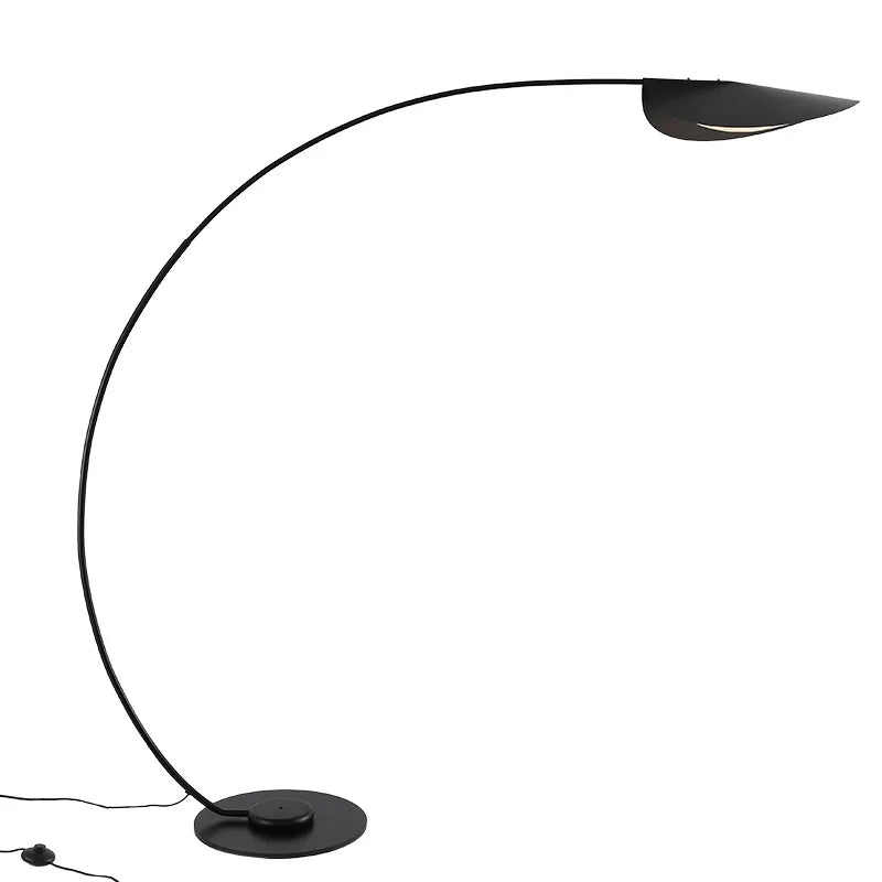 Black Parabola Floor Light