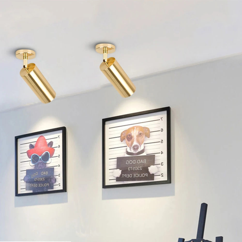 Gold LED Ceiling Spot Light