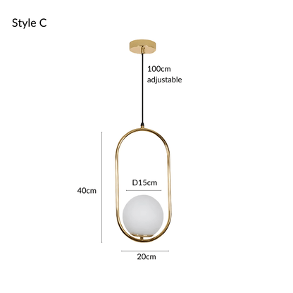 Frosted Globe Frame Pendant Light