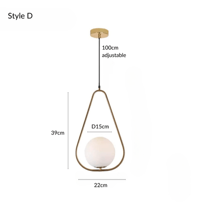 Frosted Globe Frame Pendant Light