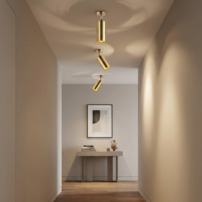 Gold LED Ceiling Spot Light