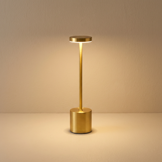 Modern Metal Portable LED Table Lamp