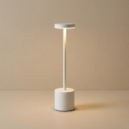 Modern Metal Portable LED Table Lamp