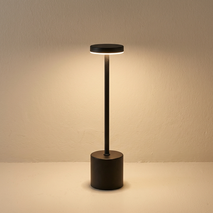 Modern Metal Portable LED Table Lamp