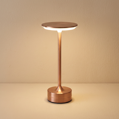 Modern Metal Portable Table Lamp