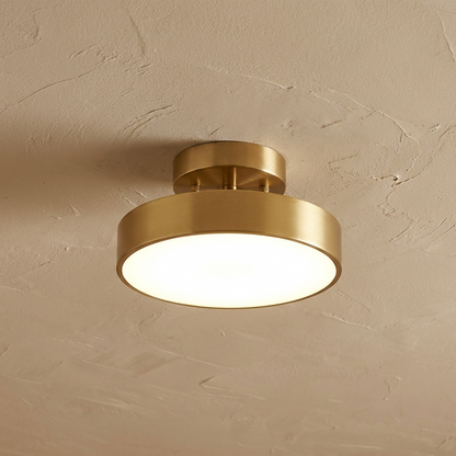 Modern Rotatable LED Ceiling Light