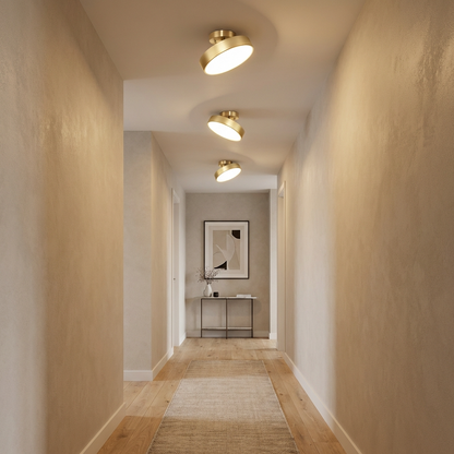 Modern Rotatable LED Ceiling Light