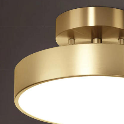 Modern Rotatable LED Ceiling Light